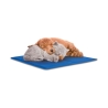 Small Cooling Gel Pet Mat 30x40cm Puppy Sale