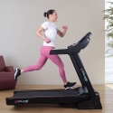 Professional Folding Electric Treadmill with Incline Everest On Sale