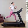 Professional Folding Electric Treadmill with Incline Everest On Sale