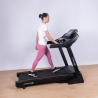 Professional Folding Electric Treadmill with Incline Everest 