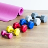 Biron 2 Kg Hexagonal Anti-Roll Dumbbell for Gym On Sale