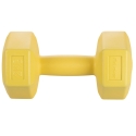 Biron 2 Kg Hexagonal Anti-Roll Dumbbell for Gym Offers