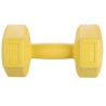 Biron 2 Kg Hexagonal Anti-Roll Dumbbell for Gym Offers