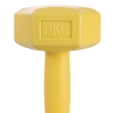 Biron 2 Kg Hexagonal Anti-Roll Dumbbell for Gym Sale