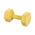 Biron 2 Kg Hexagonal Anti-Roll Dumbbell for Gym Promotion