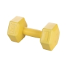 Biron 2 Kg Hexagonal Anti-Roll Dumbbell for Gym Promotion