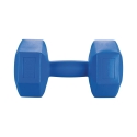 Pushara 4 Kg Hexagonal Anti-Roll Dumbbell for Gym Offers