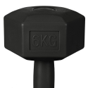 Pumax 6 Kg Hex Dumbbell with Anti-Roll Design for Home Gym Sale