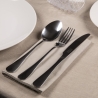 16/24 Piece Stainless Steel Cutlery Set, Polished Silver Finish On Sale