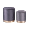 Set of 2 Velvet-Effect Fabric Footstools with Gold Base - Ilduma 