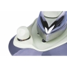 Hekka Steam Iron with Boiler, 850ml Stainless Steel Plate Choice Of