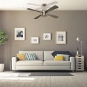 Windy Ceiling Fan with Light and Silent Remote Control On Sale