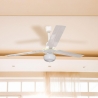 Windy Ceiling Fan with Light, 3 Blades, 5 Speeds On Sale