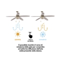 Windy Ceiling Fan with Light, 5 Blades, Reverse Function Sale