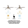 Windy Ceiling Fan with Light, 5 Blades, Reverse Function Sale