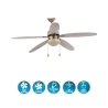 Windy Ceiling Fan with Light, 5 Blades, Reverse Function Catalog