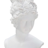 Classic White Resin Bust Statue of Woman - Era Sale