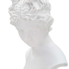 Classic White Resin Bust Statue of Woman - Era Catalog