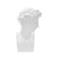 White Resin Decorative Sculpture Figurine, Male Face Enea Promotion