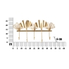 Metal Wall-Mounted Coat Rack with 5 Hooks, 26.3x49.5x6 cm, Leaves Design Catalog