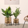 Set of 2 Round Rattan Plant Stands with Black Metal Base Zeyok On Sale