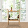 Panama Metal and Rattan Serving Cart with Bottle Holder On Sale