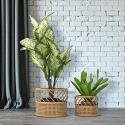 Set of 2 Round Metal and Rattan Plant Stands Panama On Sale