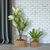 Set of 2 Round Metal and Rattan Plant Stands Panama On Sale