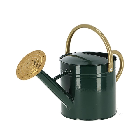 Green Watering Can with Round Spout for Garden and Balcony, Size S Promotion