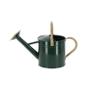 Green Watering Can with Round Spout for Garden and Balcony, Size S On Sale