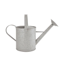 Watering Can with Shower Spout for Garden 8.7 L Promotion