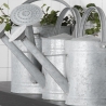 Watering Can with Shower Spout for Garden 8.7 L Catalog