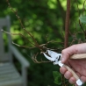 Multi-Purpose Garden Shears with Steel and Wood Handle On Sale