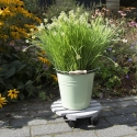 Wooden Round Plant Trolley with Wheels On Sale