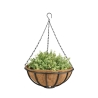 Hanging Basket with Chain and Coconut Liner, 35cm Offers
