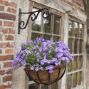 Hanging Basket with Chain and Coconut Liner, 35cm Discounts