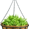 Hanging Basket with Chain and Coconut Liner, 35cm Sale
