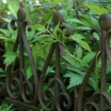 Decorative Cast Iron Garden Border Fence 38cm On Sale