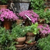 3-Tier Corner Shelf Plant Stand for Outdoor Garden Offers