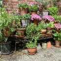 3-Tier Corner Shelf Plant Stand for Outdoor Garden On Sale