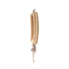 Stainless Steel Pruning Shears with Wooden Handle for Plants and Flowers Sale