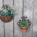 Classic Wall-Mounted Plant Holder for 13 cm Pots On Sale