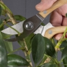 Gardening Pruning Tool Set Sale