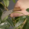 Gardening Pruning Tool Set Discounts
