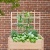 Wooden Trellis for Climbing Plants 78.2x3.8x84.9cm On Sale