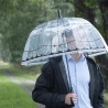 Decorative Transparent Dome Umbrella with Parrot Design On Sale