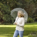 Transparent Umbrella with Bee and Flower Print On Sale