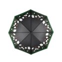Color-Changing Tulip Umbrella for Rain Catalog