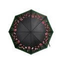 Color-Changing Tulip Umbrella for Rain Offers