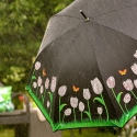 Color-Changing Tulip Umbrella for Rain Choice Of